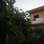 Apartmán Lavanda