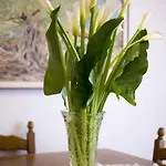 Lavanda 아파트 *