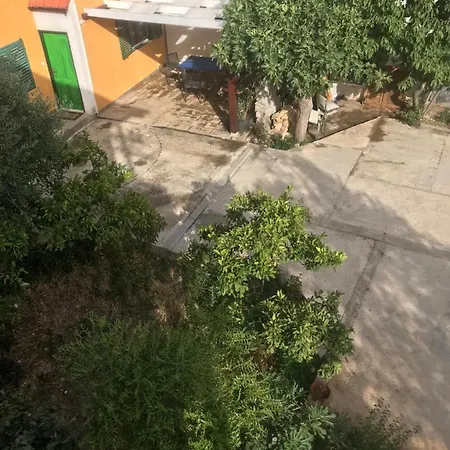 Lavanda * Задар