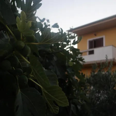 Apartman Lavanda