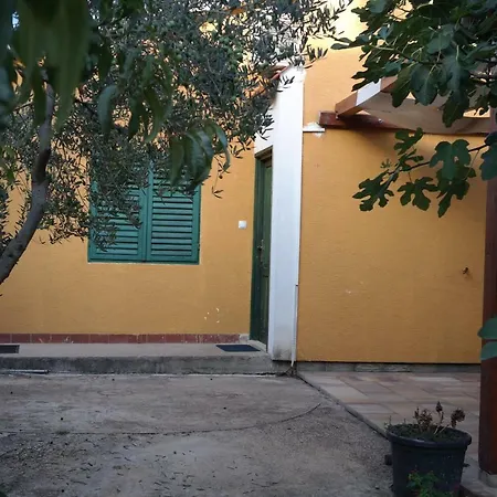 Lavanda Zadar